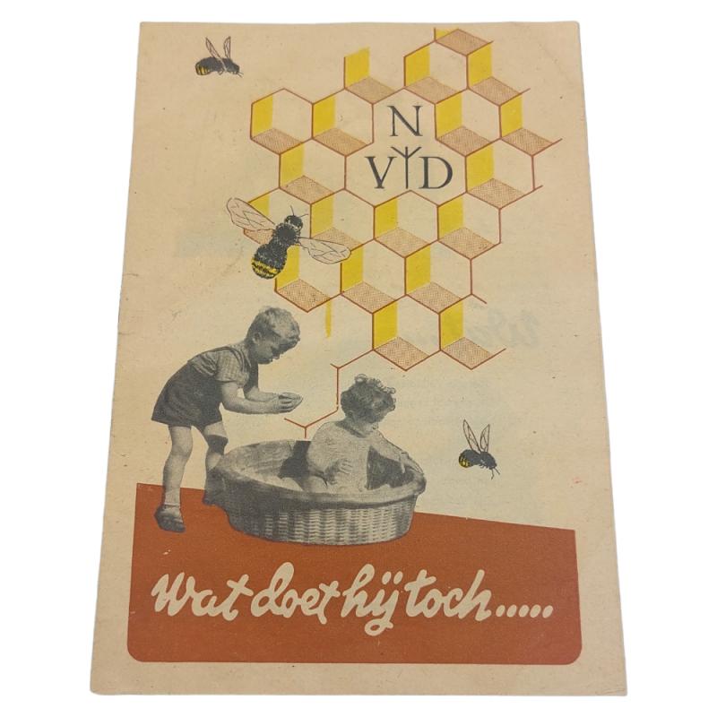 Dutch Flyer Nederlandse Volksdienst